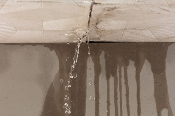 Professional Burst Pipe Cleanup technician working in Riverdale, MD